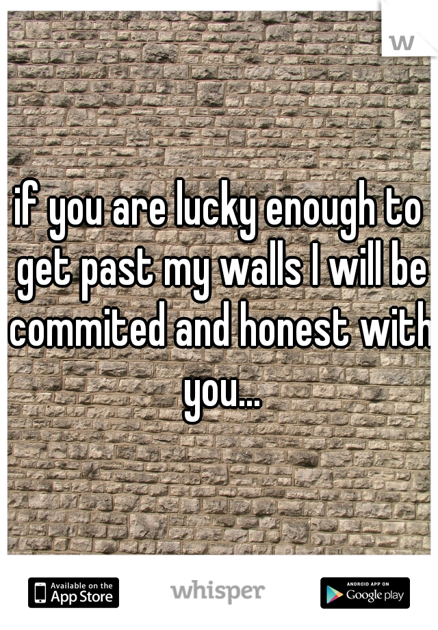 if you are lucky enough to get past my walls I will be commited and honest with you...
