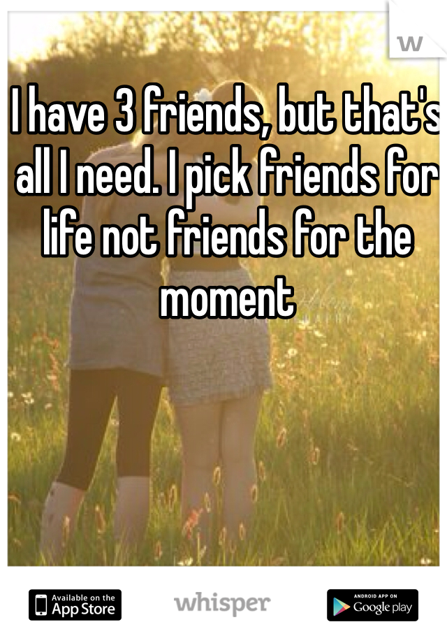 I have 3 friends, but that's all I need. I pick friends for life not friends for the moment