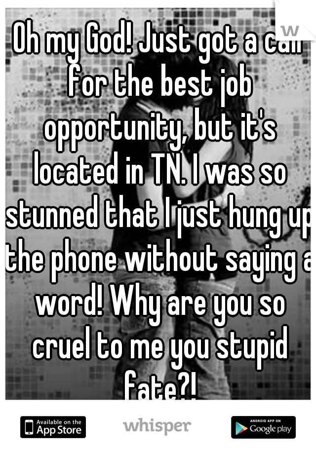 Oh my God! Just got a call for the best job opportunity, but it's located in TN. I was so stunned that I just hung up the phone without saying a word! Why are you so cruel to me you stupid fate?!
