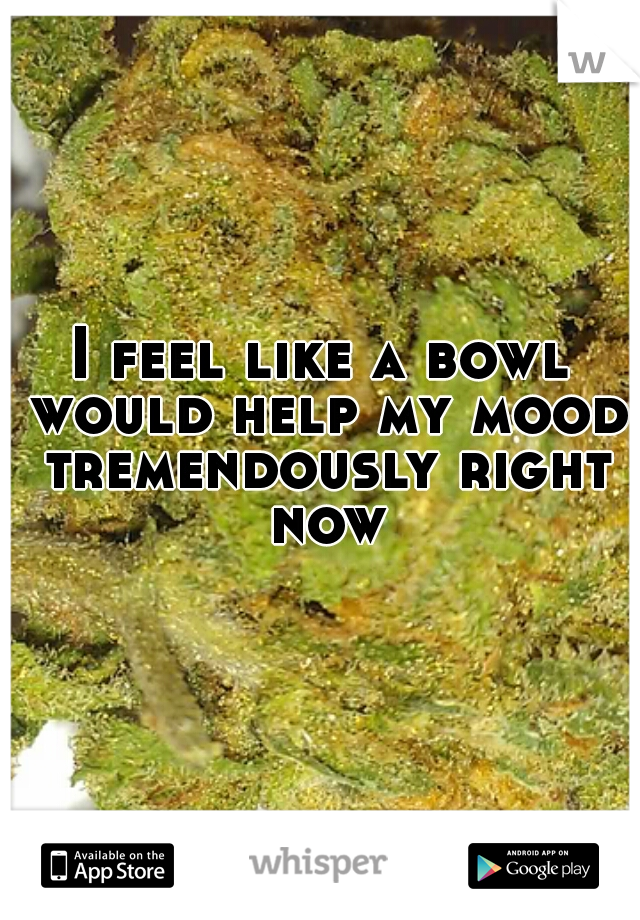 I feel like a bowl would help my mood tremendously right now