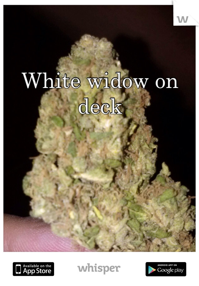 White widow on deck