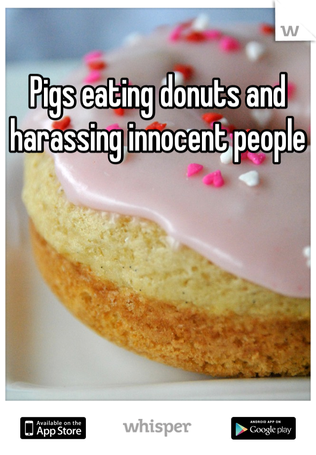 Pigs eating donuts and harassing innocent people