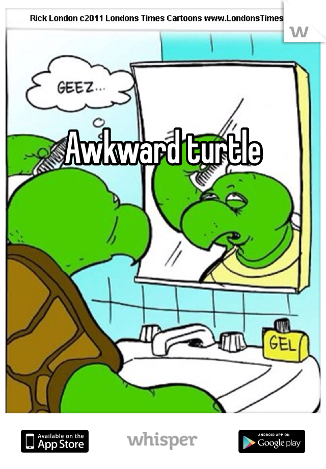 Awkward turtle 