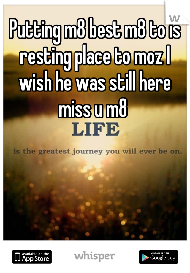 Putting m8 best m8 to is resting place to moz I wish he was still here miss u m8 