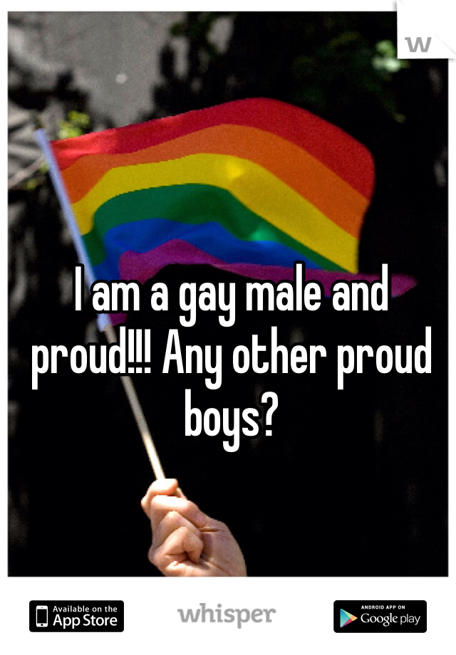 I am a gay male and proud!!! Any other proud boys?