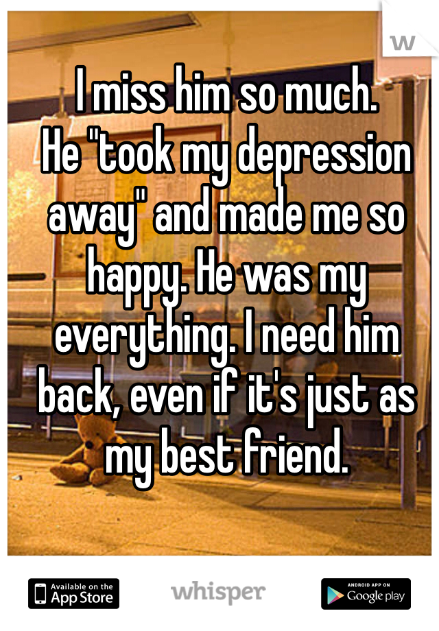 I miss him so much. 
He "took my depression away" and made me so happy. He was my everything. I need him back, even if it's just as my best friend. 