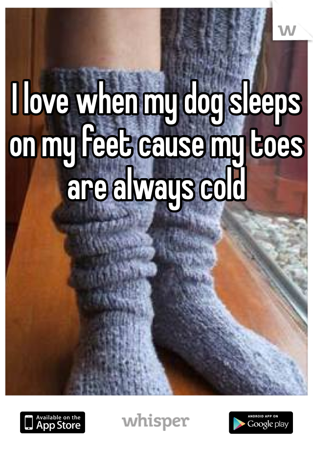 I love when my dog sleeps on my feet cause my toes are always cold 