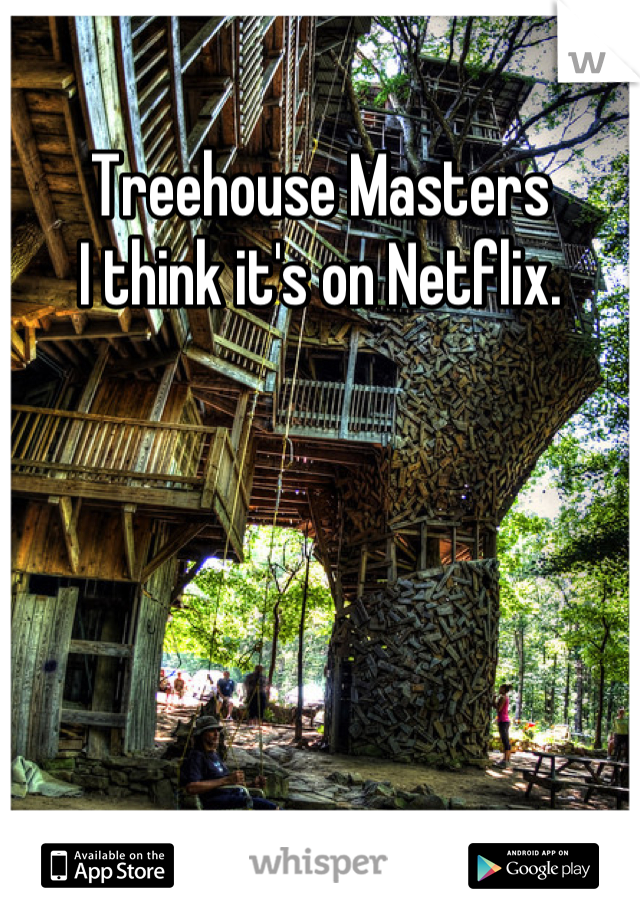 Treehouse Masters
I think it's on Netflix.