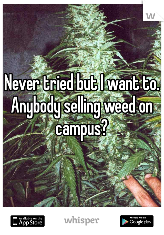 Never tried but I want to. Anybody selling weed on campus?