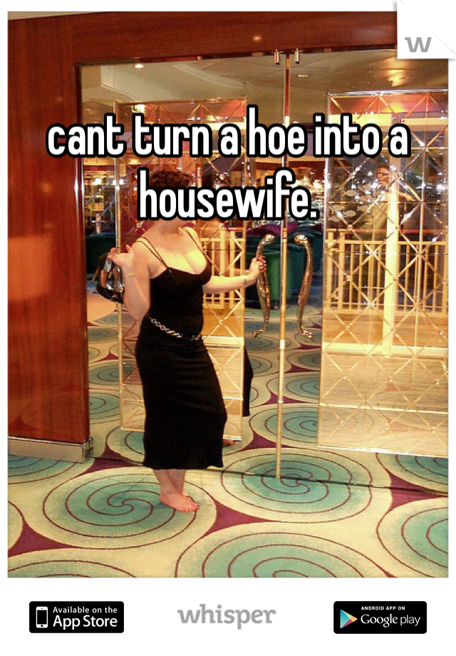 cant turn a hoe into a housewife. 