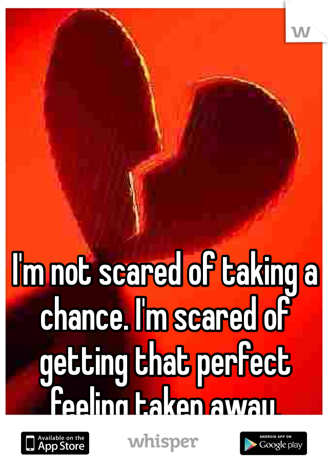 I'm not scared of taking a chance. I'm scared of getting that perfect feeling taken away. 