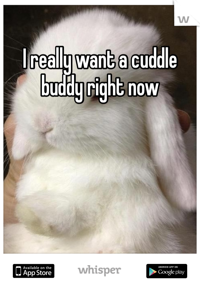 I really want a cuddle buddy right now
