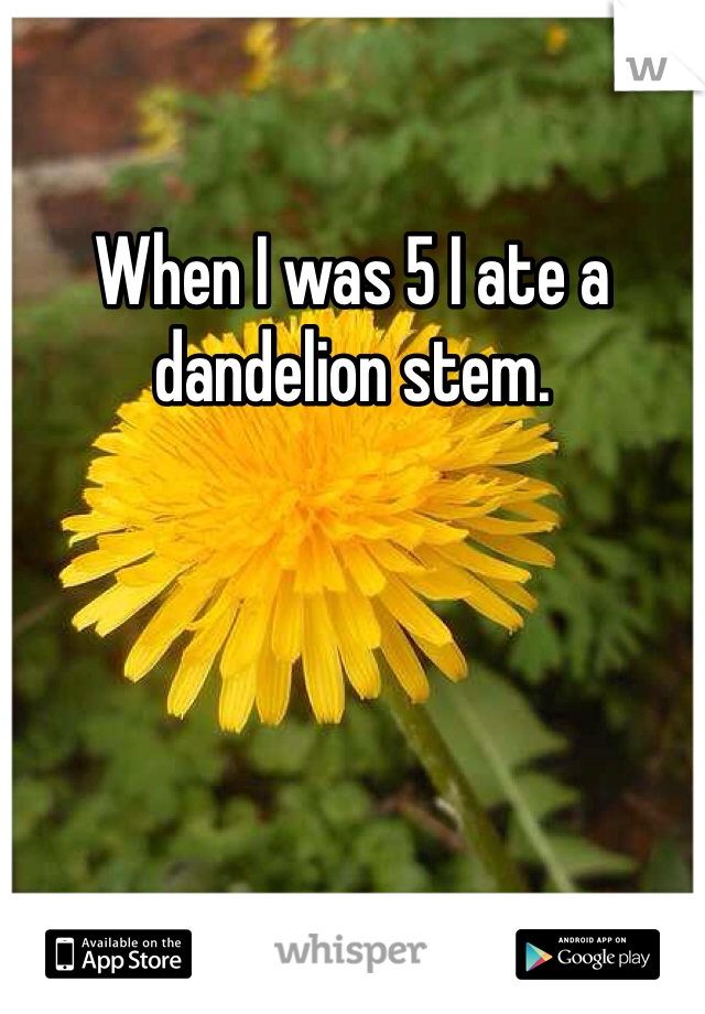When I was 5 I ate a dandelion stem. 