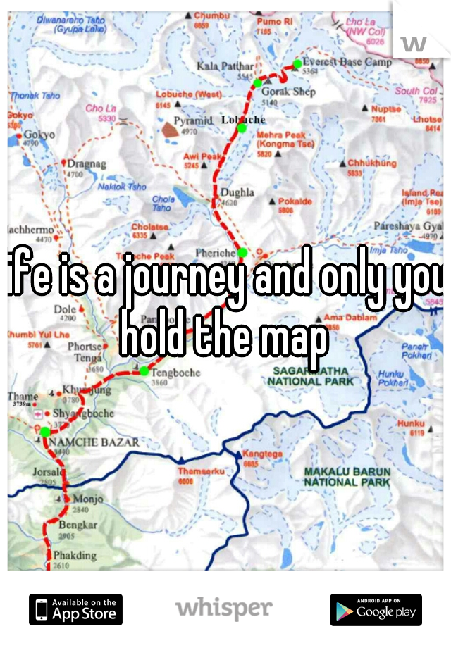 life is a journey and only you hold the map 