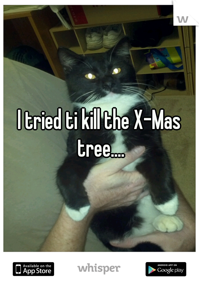 I tried ti kill the X-Mas tree....