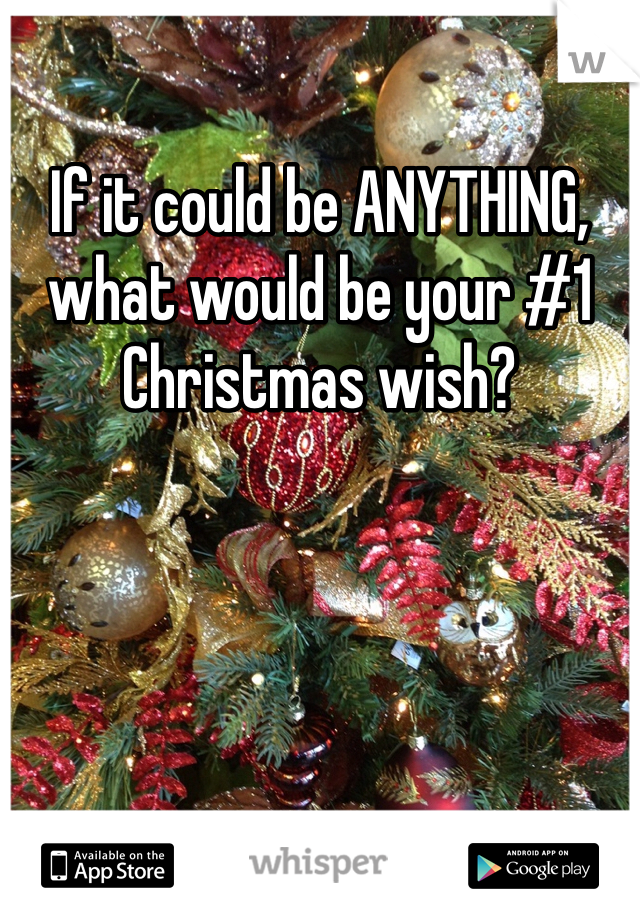 If it could be ANYTHING, what would be your #1 Christmas wish? 