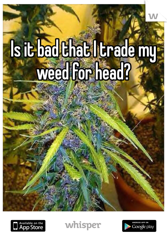Is it bad that I trade my weed for head?