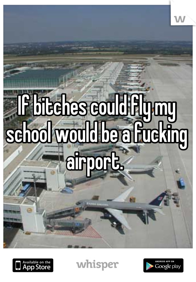 If bitches could fly my school would be a fucking airport. 