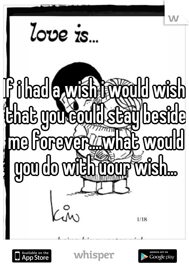 If i had a wish i would wish that you could stay beside me forever....what would you do with uour wish...