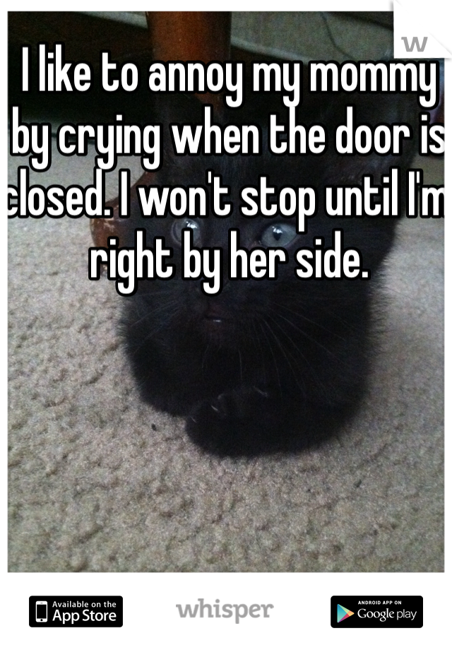 I like to annoy my mommy by crying when the door is closed. I won't stop until I'm right by her side. 