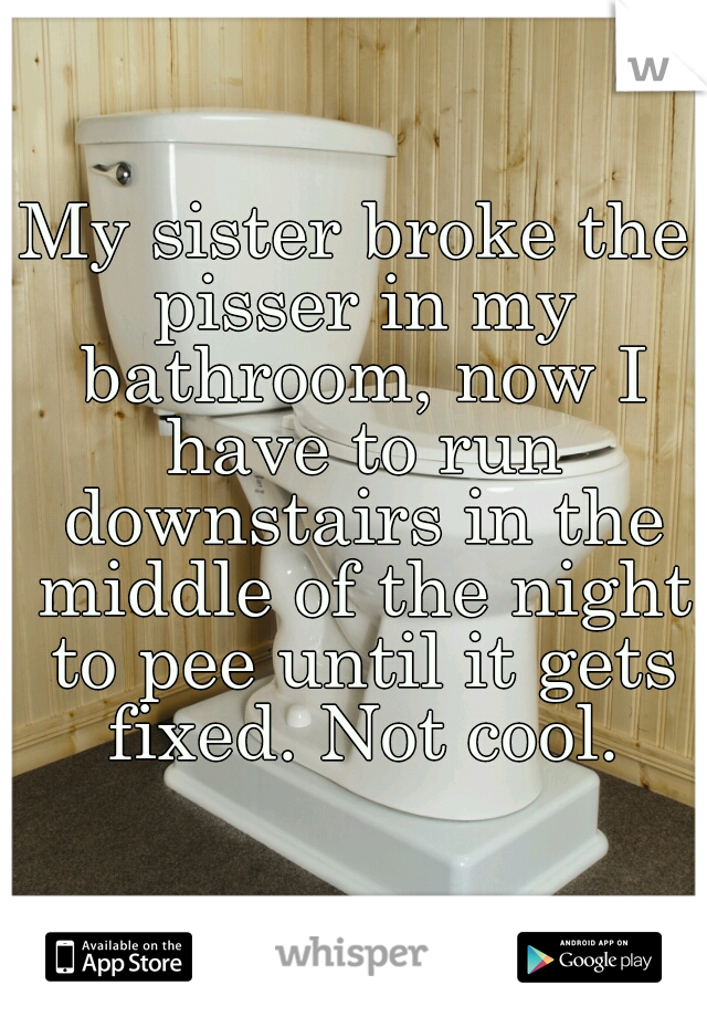My sister broke the pisser in my bathroom, now I have to run downstairs in the middle of the night to pee until it gets fixed. Not cool.