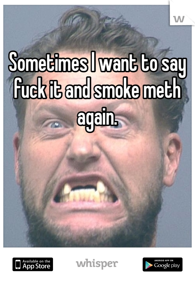 Sometimes I want to say fuck it and smoke meth again.