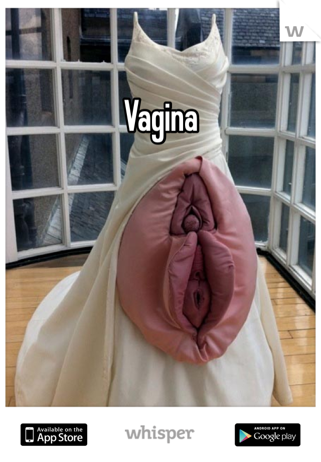 Vagina