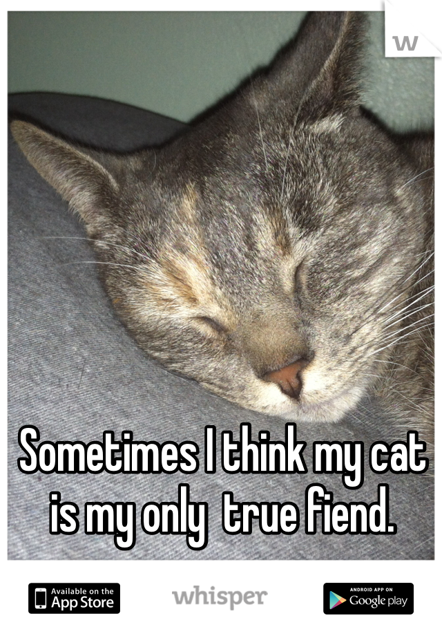 Sometimes I think my cat is my only  true fiend.