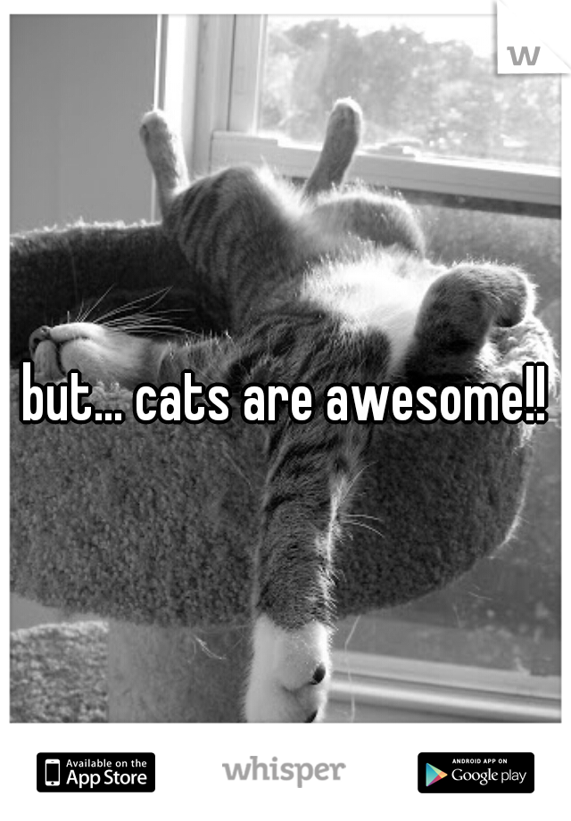 but... cats are awesome!!