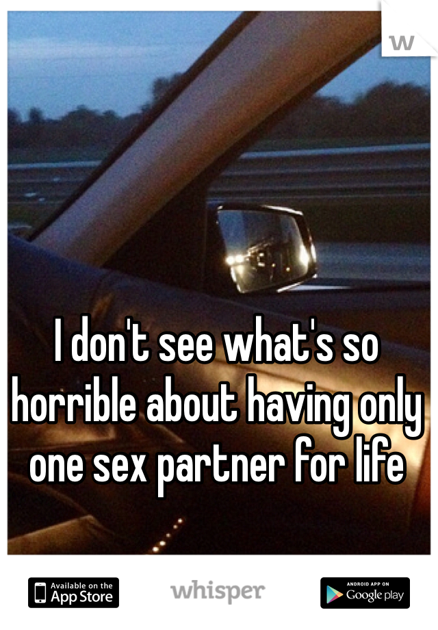 I don't see what's so horrible about having only one sex partner for life