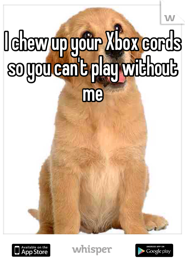 I chew up your Xbox cords so you can't play without me