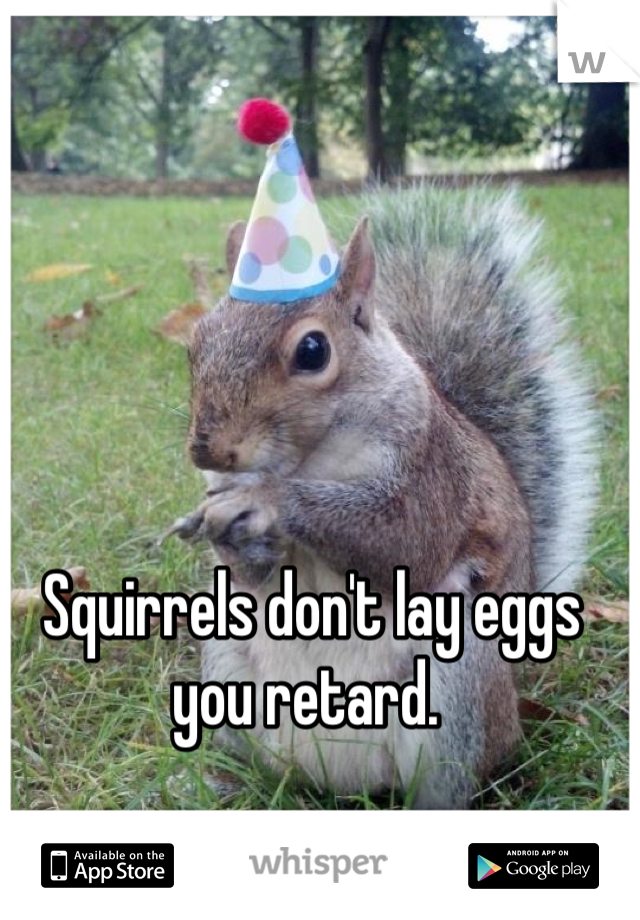 Squirrels don't lay eggs you retard. 