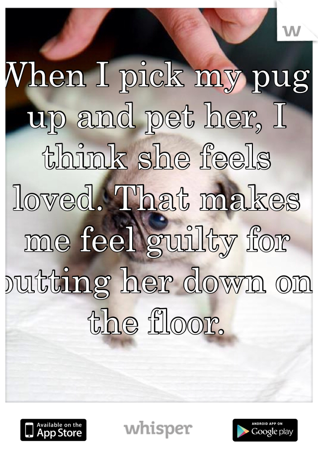 When I pick my pug up and pet her, I think she feels loved. That makes me feel guilty for putting her down on the floor.