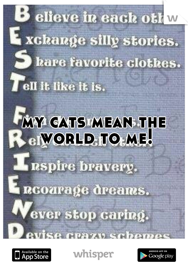 my cats mean the world to me!