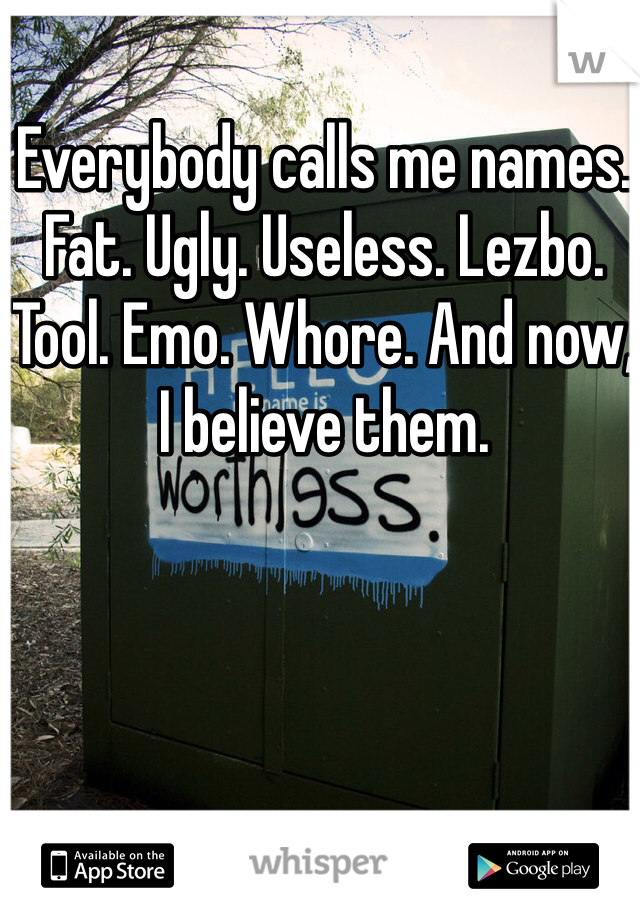 Everybody calls me names. Fat. Ugly. Useless. Lezbo. Tool. Emo. Whore. And now, I believe them.