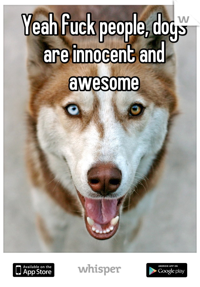 Yeah fuck people, dogs are innocent and awesome