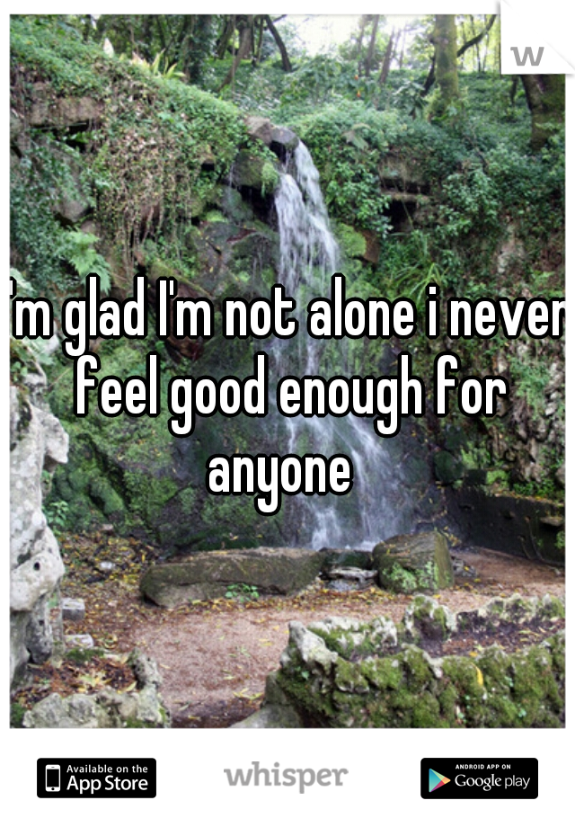 I'm glad I'm not alone i never feel good enough for anyone  