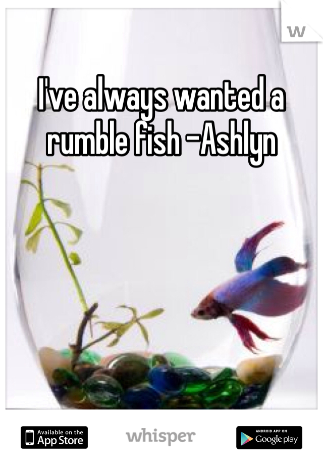 I've always wanted a rumble fish -Ashlyn