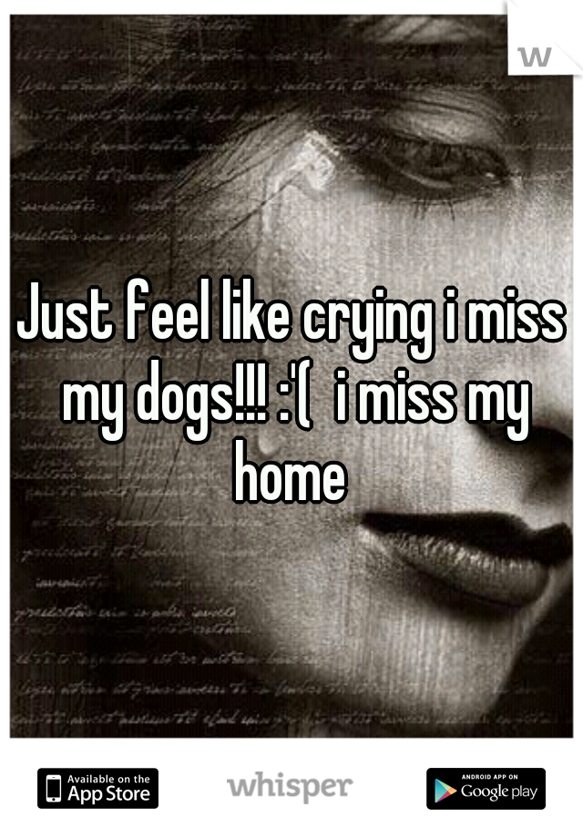 Just feel like crying i miss my dogs!!! :'(  i miss my home 