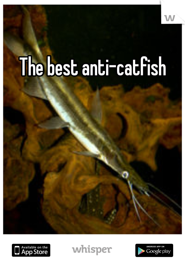 The best anti-catfish