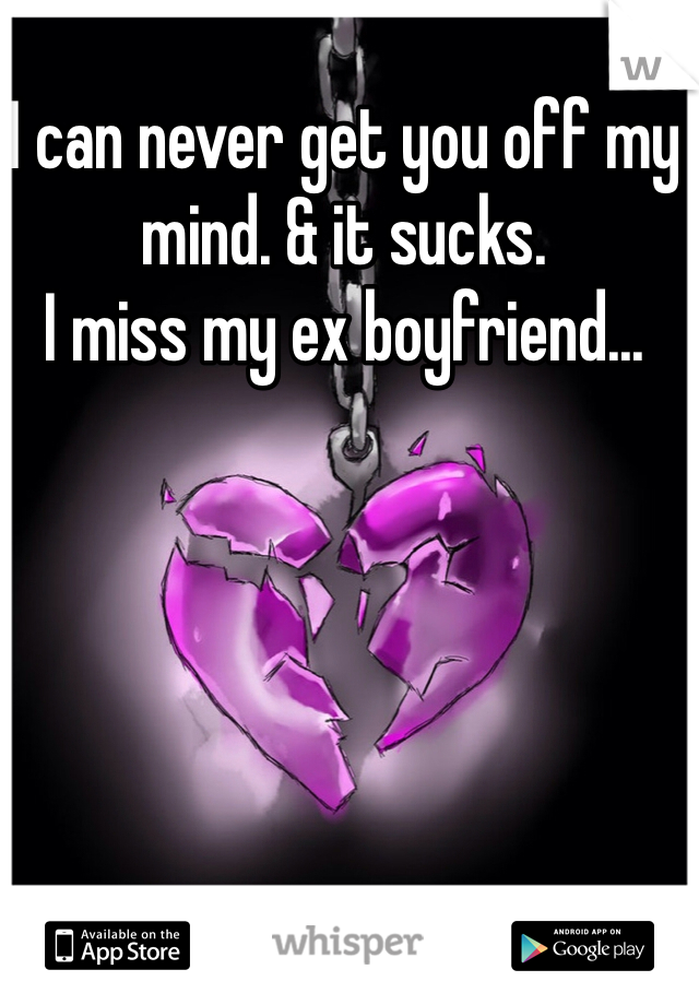 I can never get you off my mind. & it sucks. 
I miss my ex boyfriend...