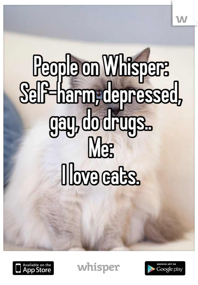 People on Whisper:
Self-harm, depressed, gay, do drugs..
Me:
I love cats.