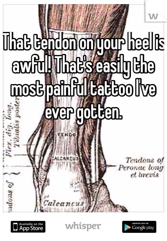 That tendon on your heel is awful! That's easily the most painful tattoo I've ever gotten. 