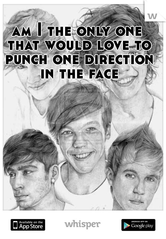 am I the only one that would love to punch one direction in the face