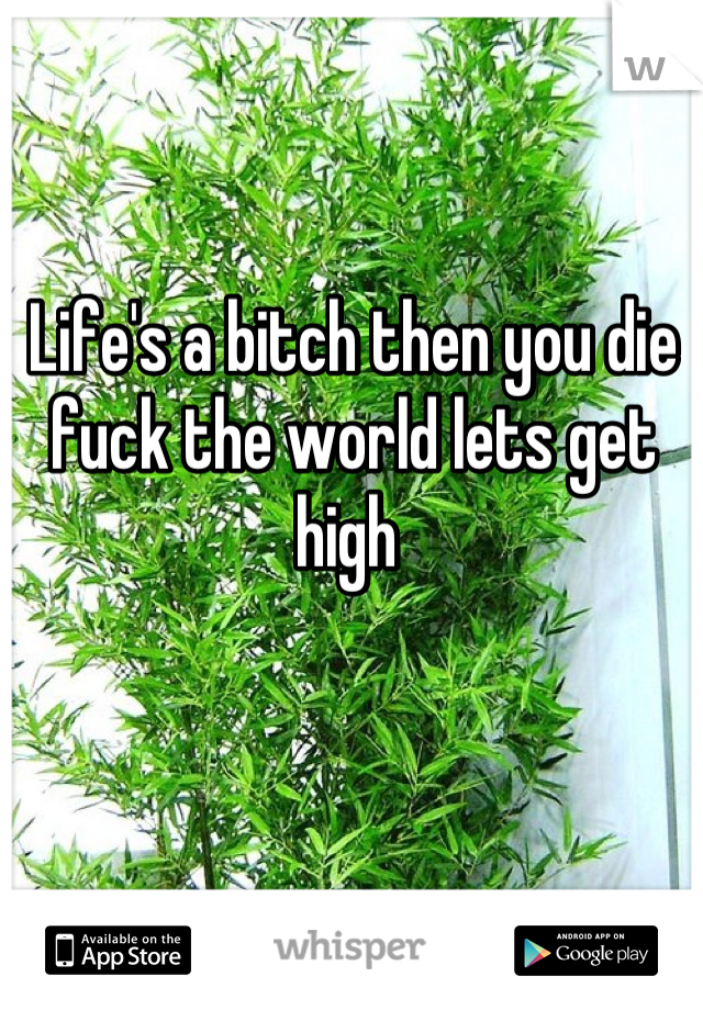 Life's a bitch then you die fuck the world lets get high 