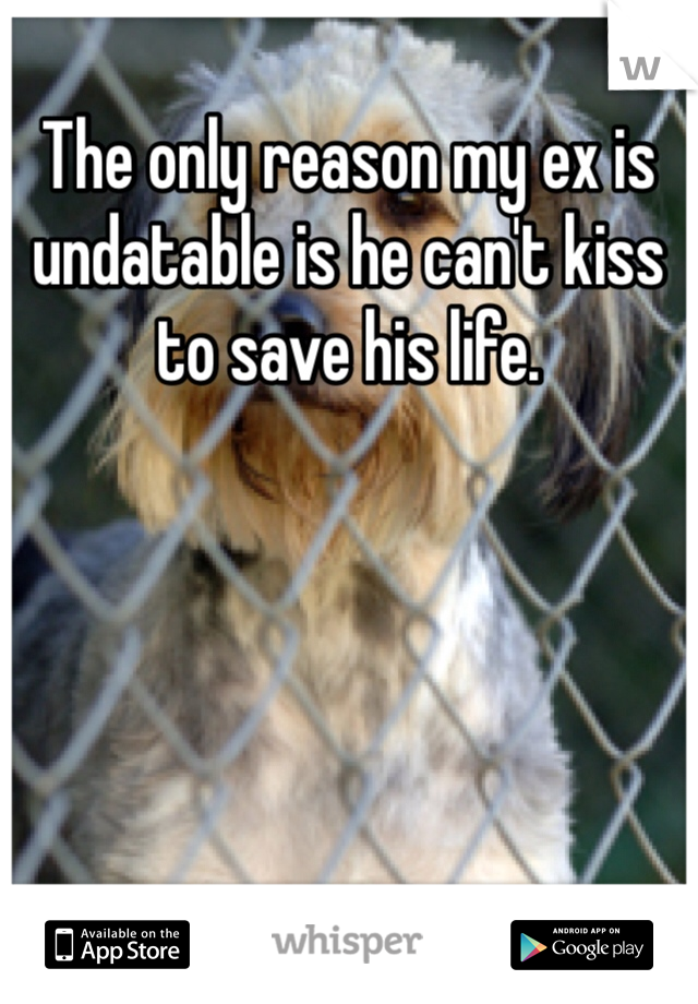 The only reason my ex is undatable is he can't kiss to save his life.

