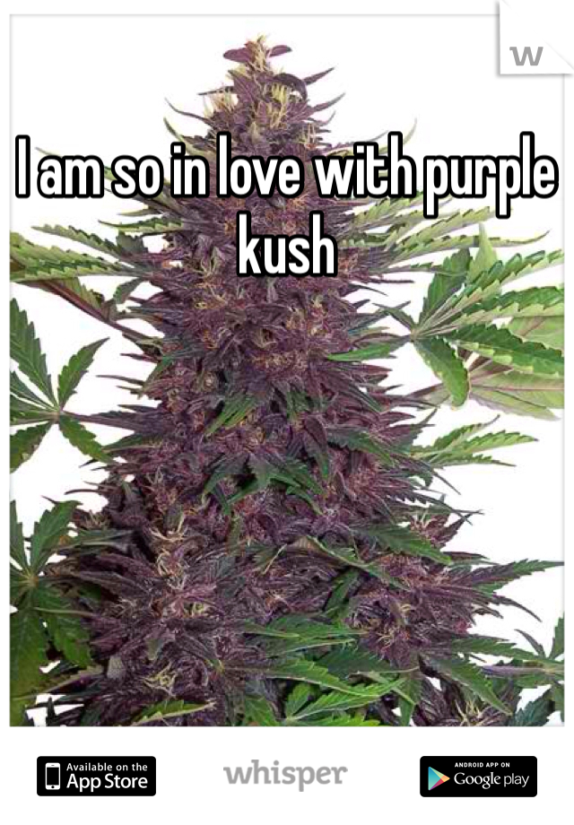I am so in love with purple kush