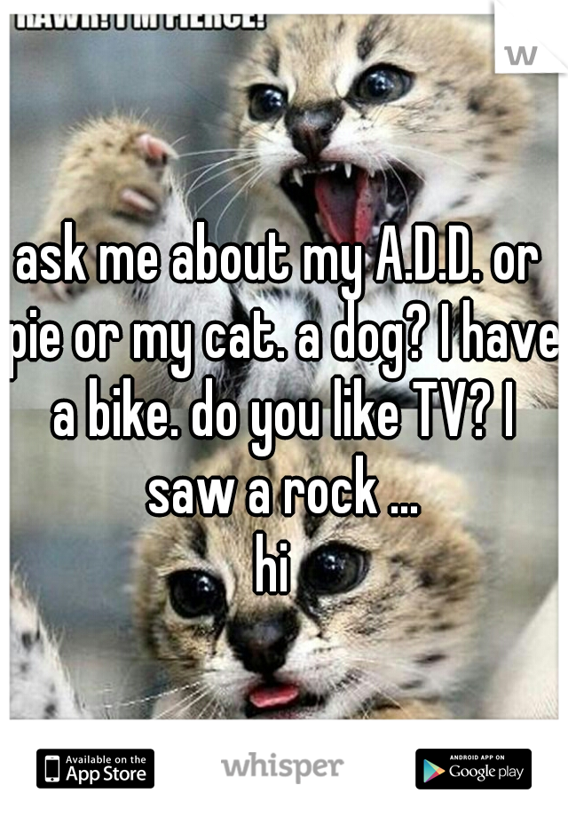 ask me about my A.D.D. or pie or my cat. a dog? I have a bike. do you like TV? I saw a rock ...

hi 