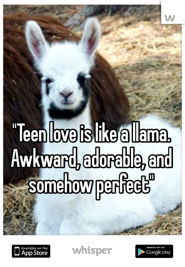 "Teen love is like a llama. Awkward, adorable, and somehow perfect"