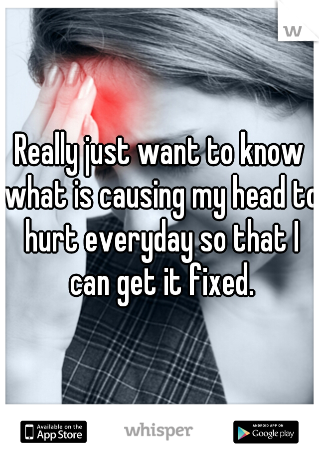 Really just want to know what is causing my head to hurt everyday so that I can get it fixed.